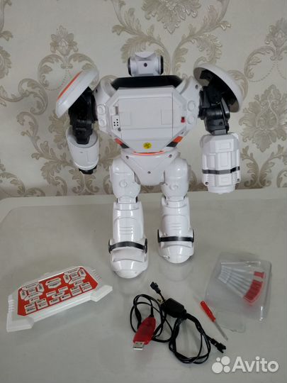 Интерактивный робот Crazon