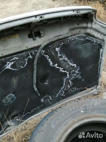 Капот и бампер