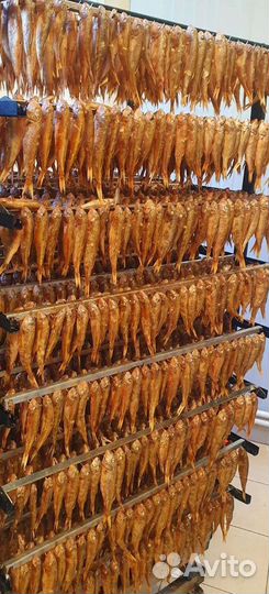 Барабуля копченая