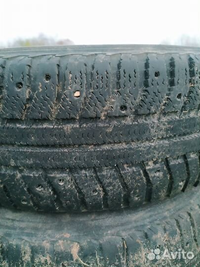 Amtel NordMaster 195/65 R15