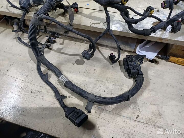 Коса/проводка эбу Fiat Linea/Фиат Линеа