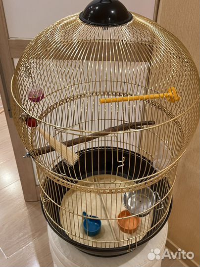 Клетка для крупного попугая