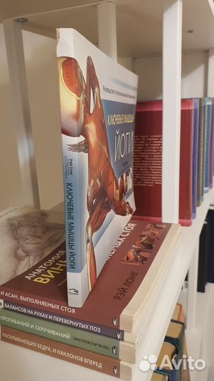 Книга Ключевые мышцы йоги Рэй Лонг