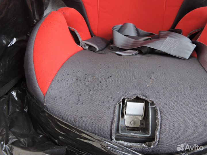 Автокресло детское Inglesina Prime Miglia