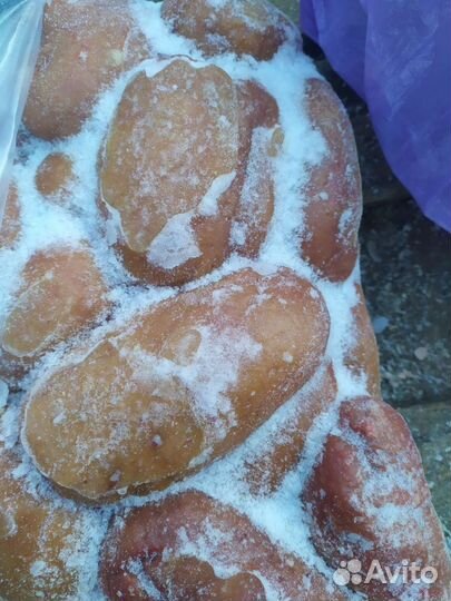 Бычьи семенники