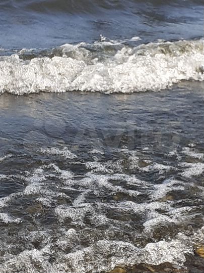 Дача 60 м² на участке 18 сот.