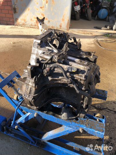 Аккп honda accord mcja