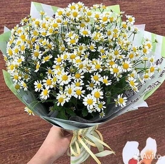 Букеты ромашек