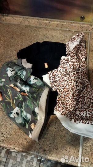 Одежда для животных