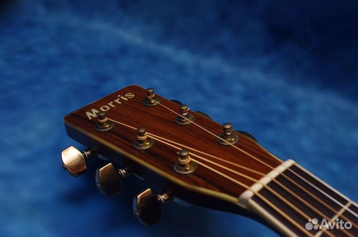 Акустическая гитара Morris MD-515. Japan