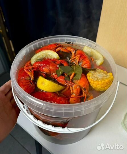 Волжские раки живые, вареные. Доставка,Самовывоз