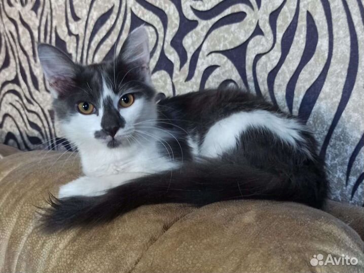 Очаровательная Снежана ищет любящую семью