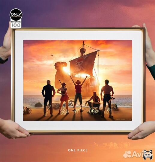 Straw Hat Pirates - One Piece