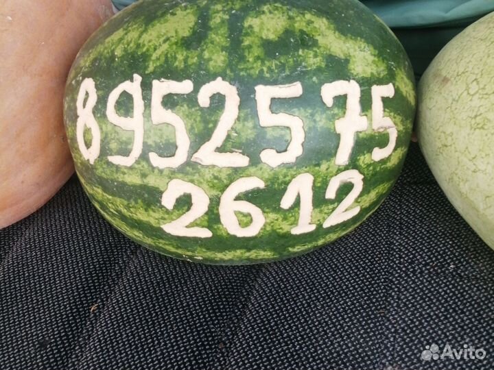 Арбуз оптом