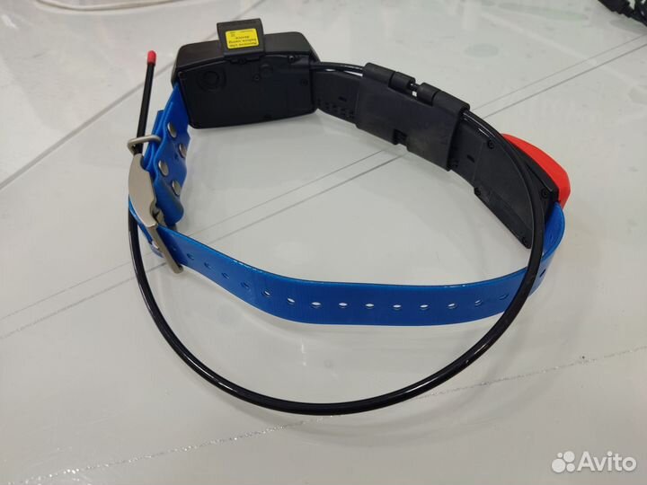 Ошейник garmin t5