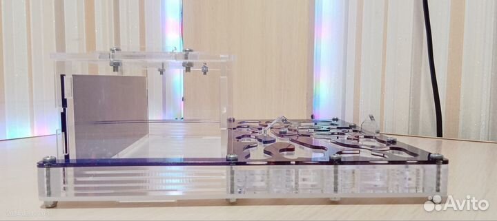 Формикарий для муравьев