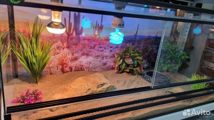 Террариумы