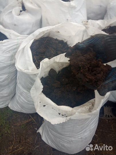 Перегной - навоз