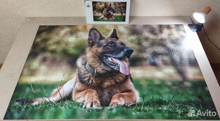 Пазл Немецкая овчарка на 4000 деталей