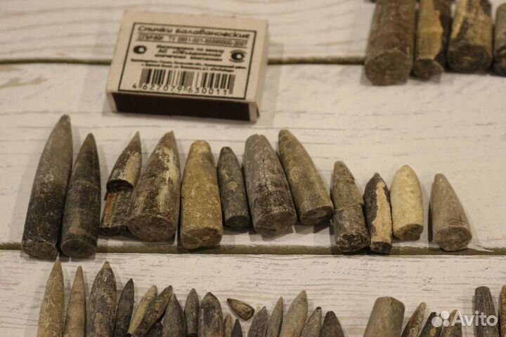 Белемниты чертовы пальцы