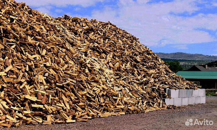 Дрова береза осина