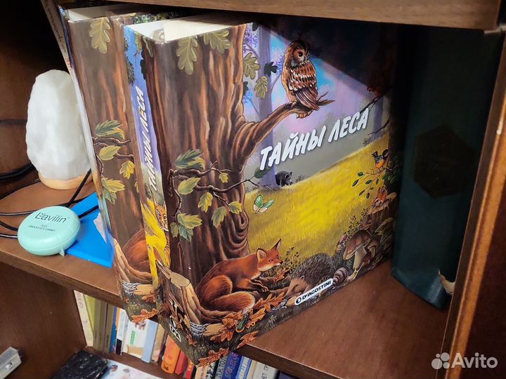 Атлас тайны леса deagostini