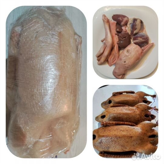 Тушки гусей