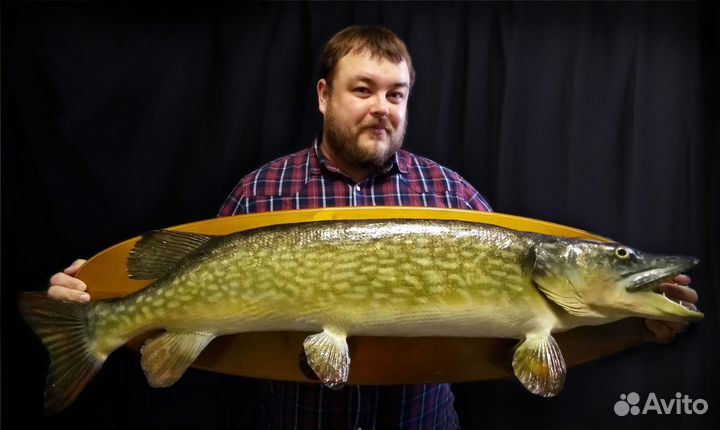 Чучела рыб подарок рыбаку