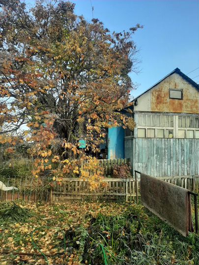 Участок 6,3 сот. (СНТ, ДНП)