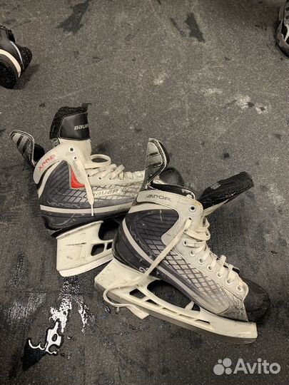 Коньки bauer vapor x pro