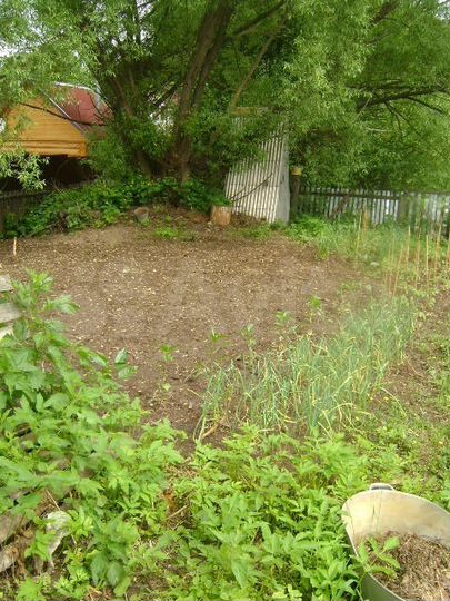 Участок 11,5 сот. (ИЖС)