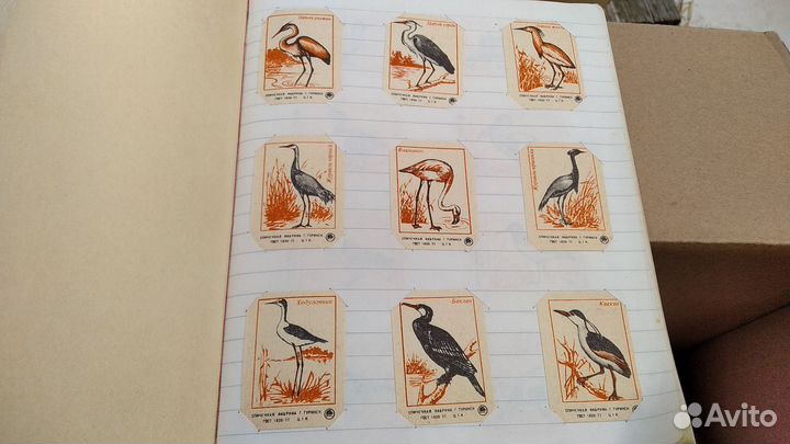 Коллекция этикеток от спичек