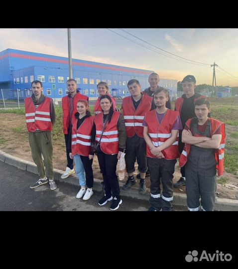 Упакрвщики вата от 15 смен