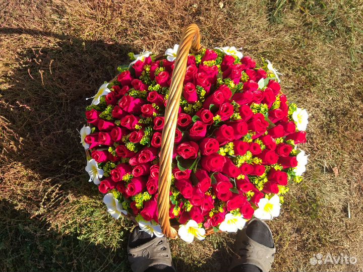 Гиппиаструм