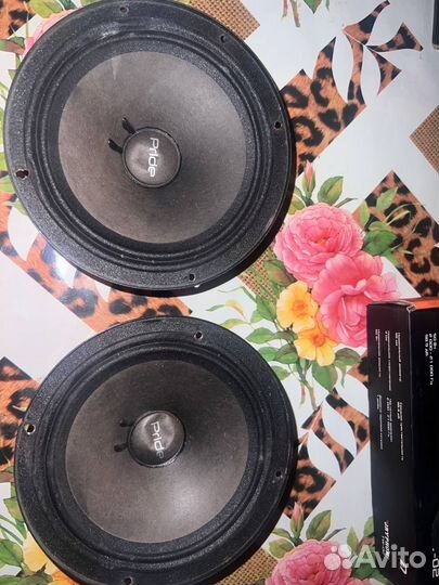 Динамики 16 pride