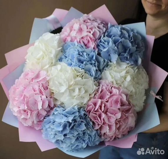 Крупная гортензия букет гигант доставка цветов