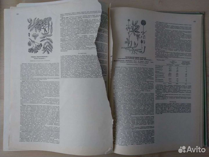 Атлас ареалов лекарственных растений СССР 1983