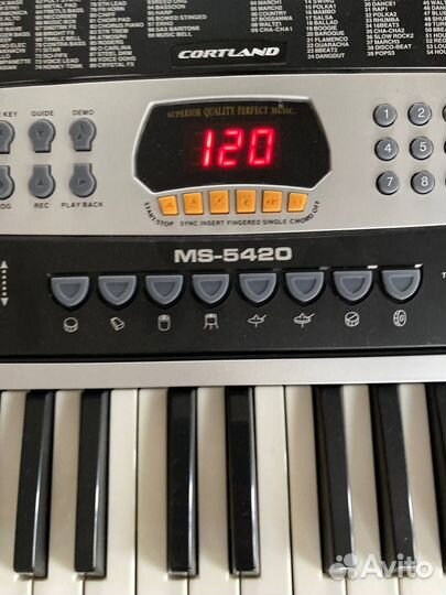 Синтезатор Cortland MS-5420