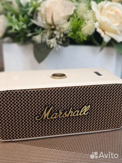 Беспроводная колонка Marshall