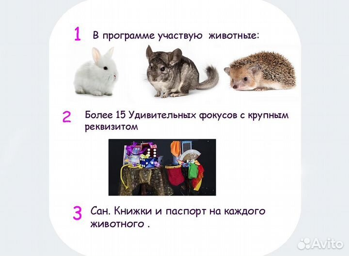 Аниматор и Иллюзион шоу в Красноярске