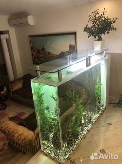 Аквариум