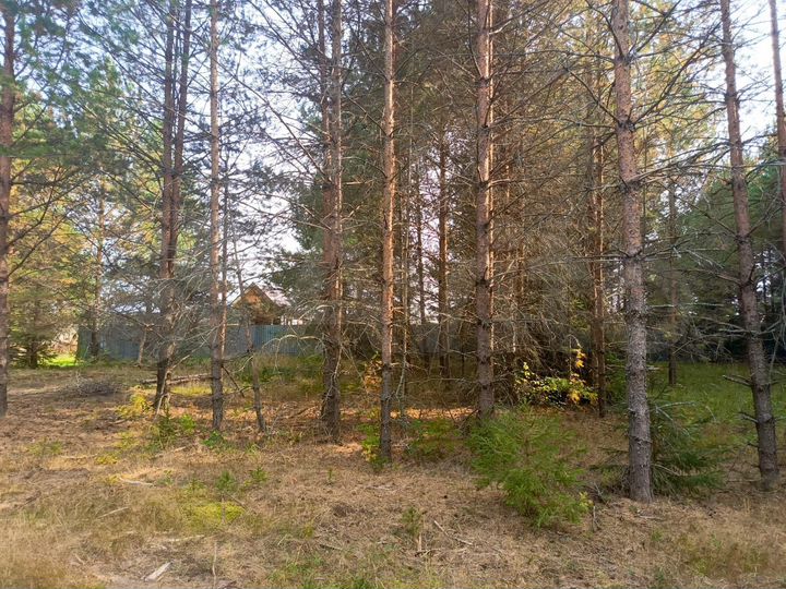Участок 13 сот. (ИЖС)
