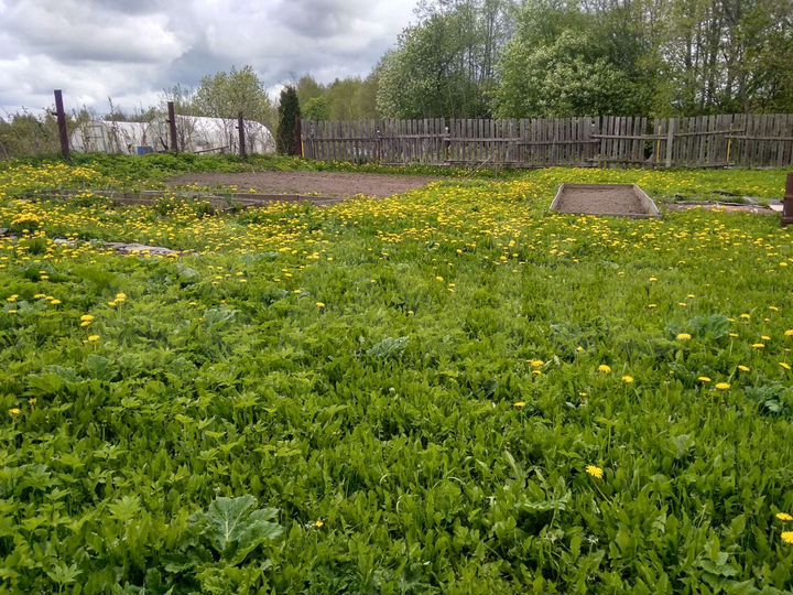 Дом 50 м² на участке 11 сот.