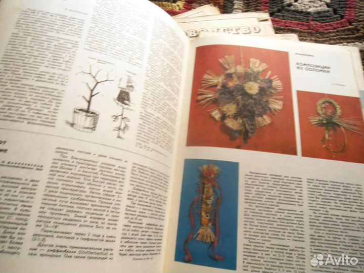 Старые журналы Цветоводство 1975г