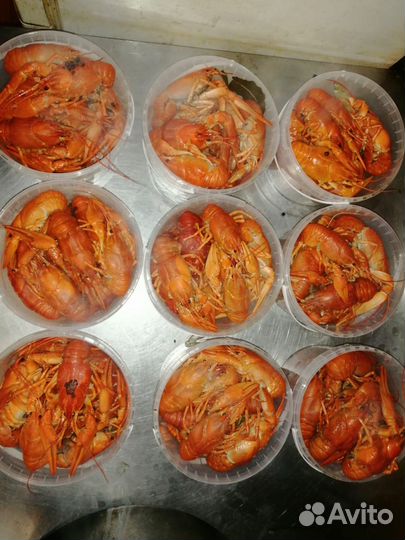 Волжский Рак