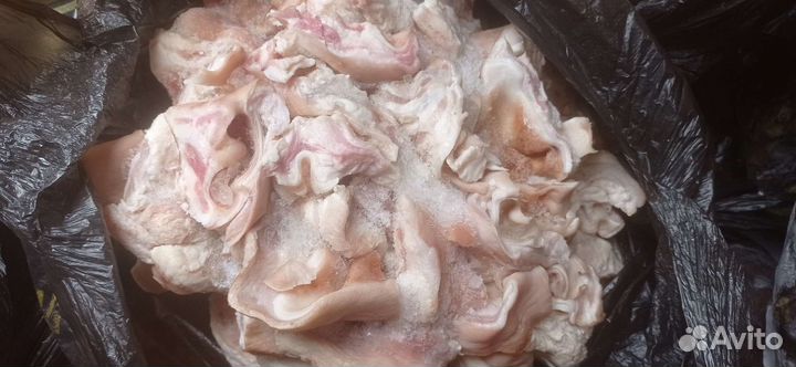 Субпродукты для собак