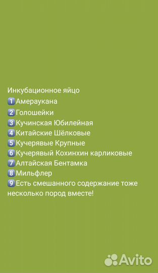 Инкубационное яйцо, разные породы есть