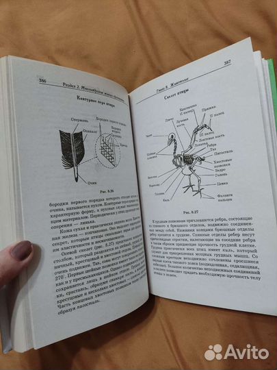 Учебник справочник по биологии