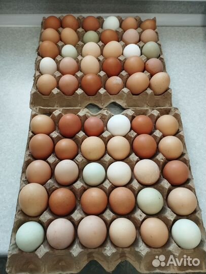 Молочная продукция