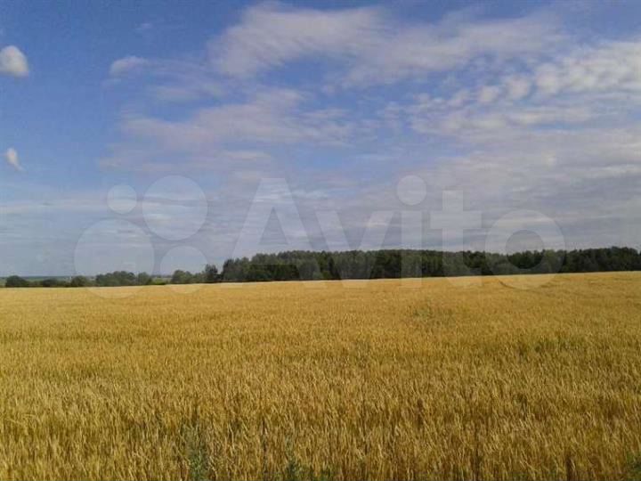 Участок 4,68 га (СНТ, ДНП)